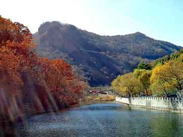 新澳天天开奖资料大全旅游团，沐浴药包